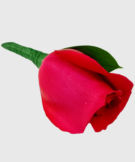 Red Rose Boutonniere