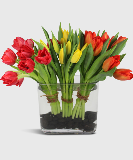 Tulip Trio