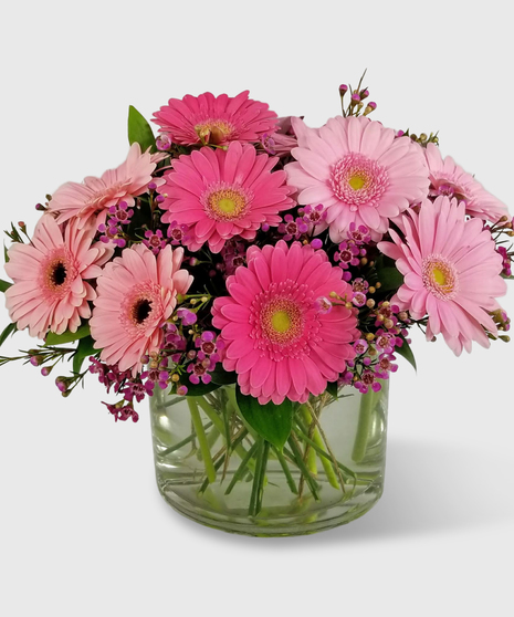 Just Because Flowers