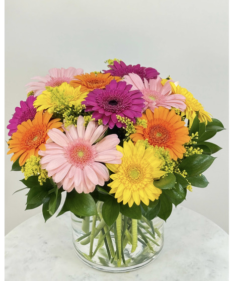 Assorted gerbera daisies designed in a short cylinder vase.