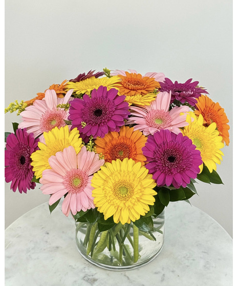 Assorted gerbera daisies designed in a short cylinder vase.