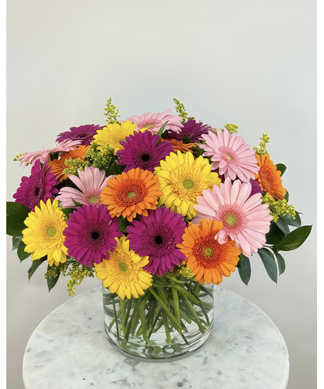 Assorted gerbera daisies designed in a short cylinder vase.