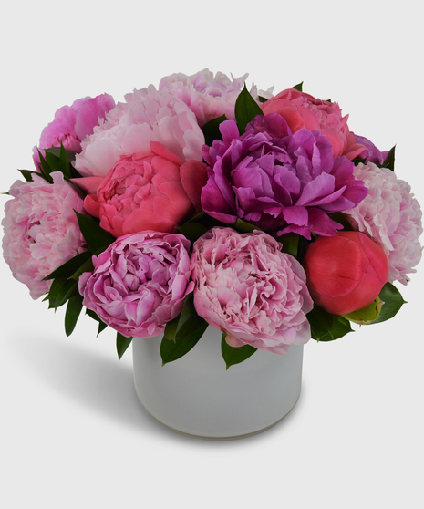 Precious Peonies
