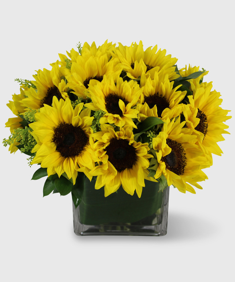 Bright sunflowers in a leaf-lined cube vase.